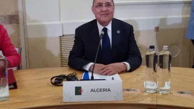 صورة وزير الداخلية يؤكد من إيطاليا أن معالجة ظاهرة الهجرة غير الشرعية تتم عبر رؤية شاملة