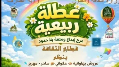 صورة برنامج ثقافي وفني متنوع للأطفال بولاية الطارف خلال العطلة الربيعية