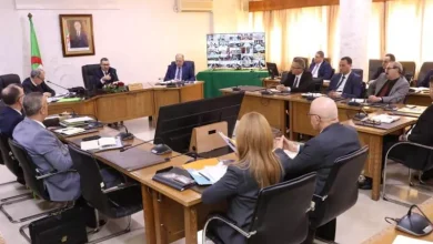 صورة وزير الداخلية يدعو الولاة لضمان الوفرة الغذائية وتكثيف الرقابة خلال رمضان
