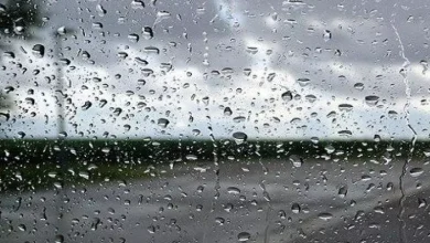 صورة أمطار رعدية ورياح قوية مرتقبة بعدة ولايات هذا السبت