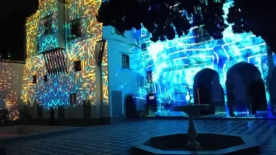 صورة انطلاق مهرجان الجزائر الدولي لفن الإسقاط الضوئي بمتحف الباردو في أجواء رقمية مبهرة