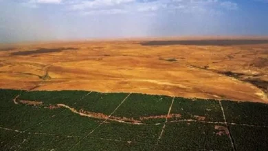 صورة إعادة تأهيل السد الأخضر: المخطط الجديد سيحظى بـ “الأولوية في الأشغال”