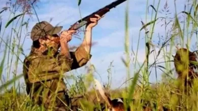 صورة المديرية العامة للغابات :  وضع مخطط وطني لإنجاح موسم الصيد البري 2023-2024