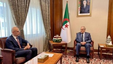 صورة الوزير الأول يستقبل سفير جمهورية إيطاليا بالجزائر