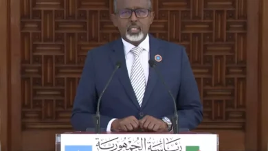 صورة محمود جيليه: العلاقات الجزائرية الصومالية “متينة وأخوية”