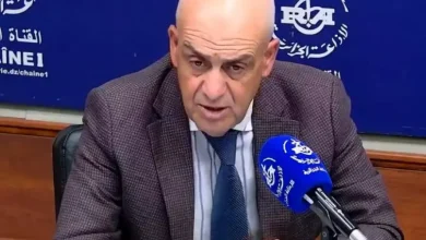 صورة وزارة العمل: قفزة نوعية في التشغيل وتوسيع الحماية الاجتماعية بالجزائر