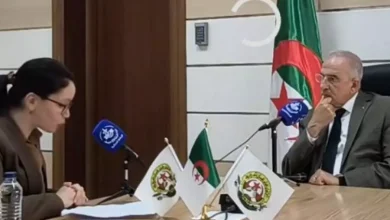 صورة تاقجوت: إعادة بعث العمل النقابي تحدٍّ قائم وضرورة تعزيز حضور المرأة في النقابات