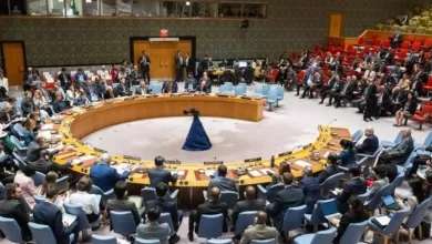 صورة بطلب من الجزائر.. مجلس الأمن يعقد اجتماعا رفيع المستوى حول القضية الفلسطينية