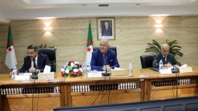 صورة فايد يترأس اجتماعا تنسيقيا دوريا مع مسؤولي القطاع