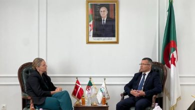 صورة ركاش يستقبل سفيرة مملكة الدنمارك ..عرض فرص الاستثمار وتبادل التجارب بين المؤسسات الجزائرية والدنماركية