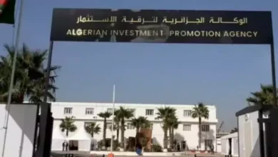 صورة الوكالة الجزائرية لترقية الاستثمار تسجل أكثر من 19 ألف مشروع منذ نوفمبر 2022 بقيمة 8242 مليار دج