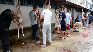 صورة عيد الأضحى: الحماية المدنية تدعو المواطنين إلى احترام الإرشادات الوقائية من الحوادث