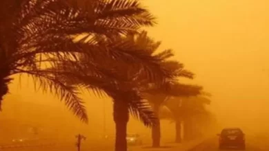 صورة هبوب رياح قوية بعدة ولايات جنوبية للبلاد ابتداء من ظهيرة اليوم الأحد