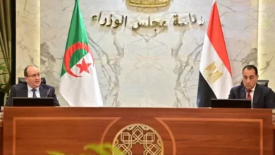 صورة انطلاق أشغال اللجنة العليا الجزائرية–المصرية بالقاهرة لتعزيز التعاون الثنائي في مختلف القطاعات