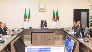 صورة جلاوي يشدّد على تسريع وتيرة أشغال توسعة ميناء عنابة الفوسفاتي