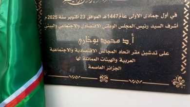 صورة مؤسسة ناشئة متخصصة في تثمين التراث الثقافي : المنظمة العالمية للملكية الفكرية تسلط الضوء على “آرتفاي” الجزائرية
