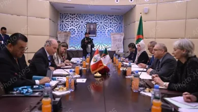 صورة الجزائر والبيرو تبحثان تعزيز التعاون خلال الدورة الخامسة للمشاورات السياسية