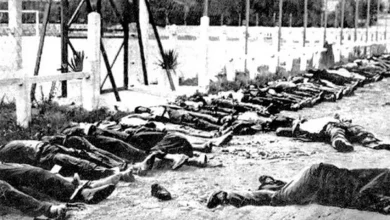صورة الجزائر تحيي الذكرى الـ81 لمجازر 8 ماي 1945 وفاءً للذاكرة الوطنية