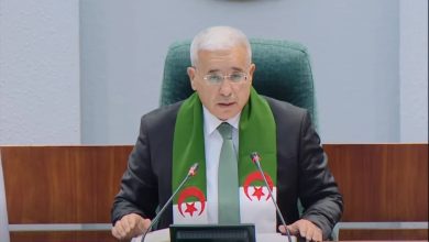 صورة بوغالي: تجريم الاستعمار الفرنسي قضية شعب بأكمله ورسالة سيادية لحماية الذاكرة الوطنية