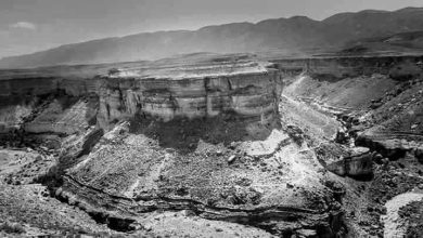 صورة معركة إيفري لبلح: ملحمة بطولية تجسد عبقرية الشهيد مصطفى بن بولعيد في الأوراس