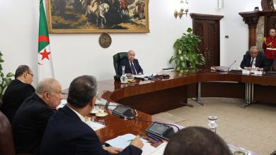 صورة رئيس الجمهورية يؤكد مواصلة دعم الصيادين لرفع حصص الصيد البحري وتعزيز الأمن الغذائي