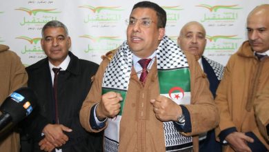 صورة الانتخابات القادمة محطة مفصلية لترسيخ الاستقرار وضمان الاستمرارية