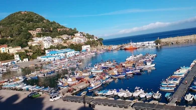 صورة تعزيز جاذبية موانئ النزهة في الجزائر… اهتمام متزايد للاستثمار وتحديث مستمر للهياكل