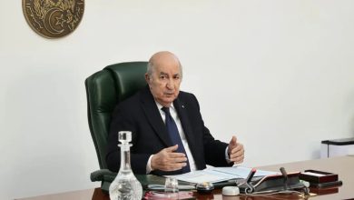 صورة تستعد لاستقبال سنة 2026 بـ”انطلاقة جديدة”..”الجزائر 2025″ : سنة تعزيز المكاسب الاجتماعية