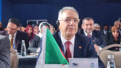 صورة مشاركة برلمانية جزائرية في اجتماع المجموعة الجيوسياسية الإفريقية بتركيا