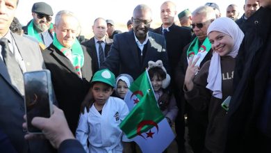 صورة افتتاح المخيم الشتوي “فنون الشباب” بولاية بشار بمشاركة مائة شاب من مختلف الولايات