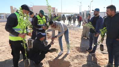 صورة وزارة الفلاحة تعلن عن حملة تشجير كبرى لغرس خمسة ملايين شجرة يوم 14 فبراير
