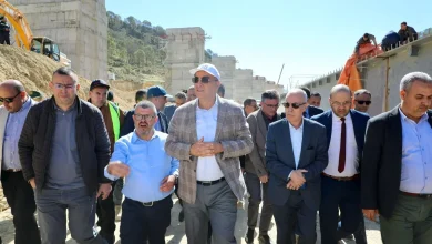صورة تعزيز وتيرة إنجاز الخط السككي المنجمي الشرقي بتبسة لدعم التنمية الاقتصادية