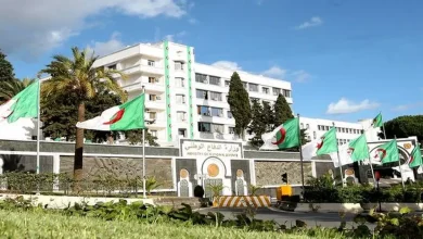 صورة الجيش الوطني الشعبي يحجز أزيد من مليون قرص مهلوس بتمنراست ويوقف شخصين
