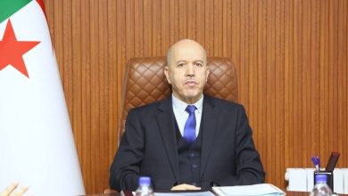 صورة سايحي يترأس جلسة عمل لتقييم نشاطات الصندوق الوطني للتأمين عن البطالة..تعليمات بالاعتماد الحصري على الرقمنة وتطوير الخدمات عن بعد