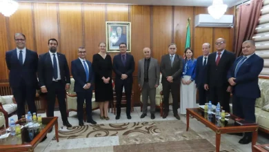 صورة تعزيز التعاون الصحي بين الجزائر والدنمارك: نحو شراكة أوسع في الرقمنة والوقاية