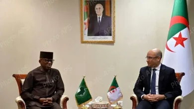 صورة الجزائر تؤكد دورها المحوري في تعزيز السلم والأمن بإفريقيا