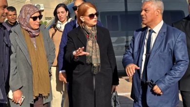 صورة وزيرة السياحة تتفقد التحضيرات النهائية للمهرجان الدولي للسياحة الصحراوية في تيميمون