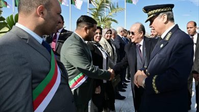 صورة بتكليف من رئيس الجمهورية… الوزير الأول يشرف بوهران على تفريغ أولى شحنات خام الحديد من غارا جبيلات