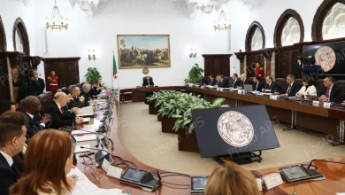 صورة رئيس الجمهورية يترأس اجتماع مجلس الوزراء ويستعرض مشاريع هامة في القضاء والمناجم والفلاحة