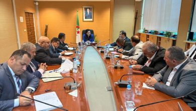 صورة وزيرة التجارة الداخلية تبحث مع اتحاد التجار والحرفيين انشغالات السوق وتنظيمها