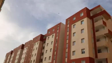 صورة وزارة الداخلية: ولاة الجمهورية في خرجات ميدانية لمتابعة المشاريع وتحسين الخدمة العمومية