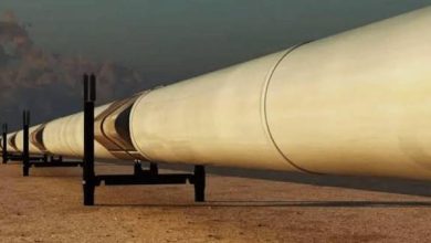 صورة خبير أمريكي يبرز البعد الاستراتيجي لأنبوب الغاز العابر للصحراء