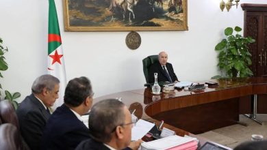 صورة أسداها خلال اجتماع مجلس الوزراء.. رقمنة مصالح الجباية .. خبراء يثمنون تعليمات رئيس الجمهورية