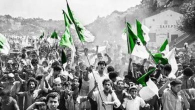 صورة تاشريفت يؤكد.. للكشافة الجزائرية دور “هام” في ترسيخ مبادئ نوفمبر في أوساط الشباب