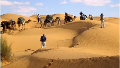 صورة 82 سائحًا من جنسيات مختلفة يزورون الجزائر