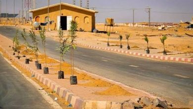 صورة تندوف: تقدم أشغال انجاز المنطقة الحرة التجارية