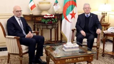 صورة ناصري يستقبل سفير إيطاليا..اتفاق على تعزيز التنسيق البرلماني وترقية الحوار والتشاور