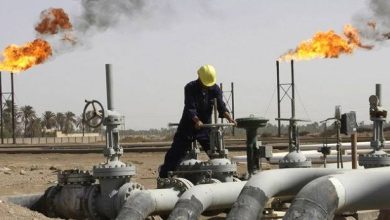 صورة الهاشمي: العرب والأفارقة بحاجة ماسة إلى تجربة الجزائر في الغاز