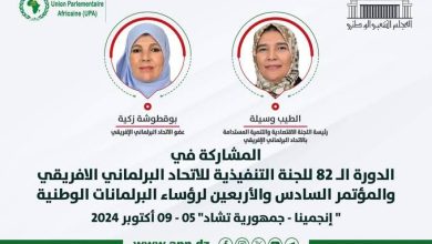 صورة الاتحاد البرلماني الافريقي : النائب زكية بوقطوشة رئيسة اللجنة الاقتصادية والتنمية المستدامة