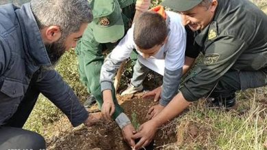 صورة الطارف..أزيد من 23 مليون دج لدعم غرس الأشجار المثمرة المقاومة